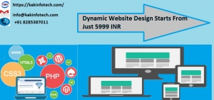 Affordable Dynamic Website Design Company in Delhi